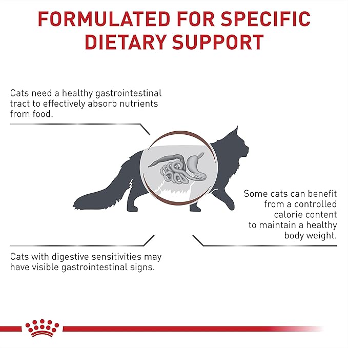 Royal Canin Veterinary Diet Feline Gastrointestinal Moderate Calorie Adult Thin Slices in Gravy Cat Food, 3 oz (Pack of 24)