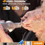 oneisall Small Dog Clippers and Paw Trimmer with Low Noise, 4 - in - 1 Cordless Dog Grooming Kit with 3 - Level Speed Clippers (7000 RPM)