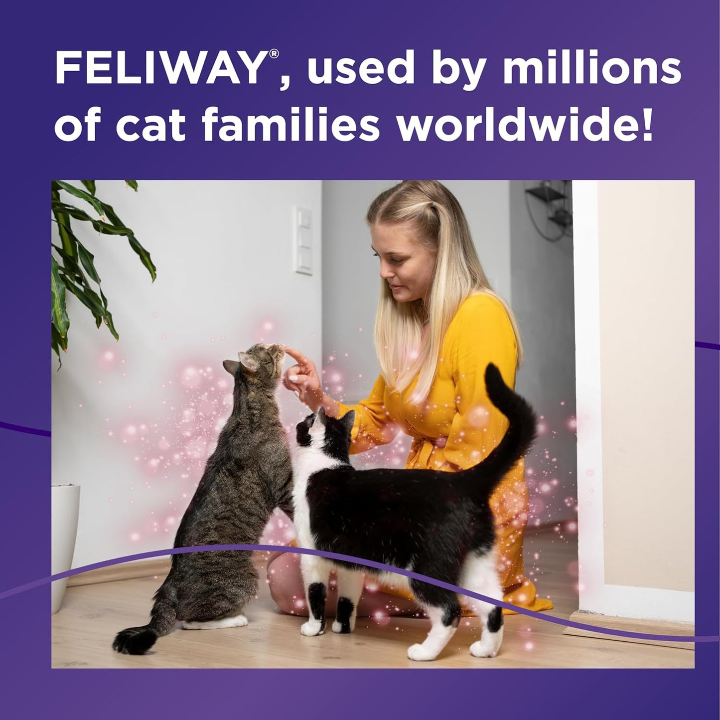 FELIWAY® MultiCat 6 x 30 Day Cat Calming Refills for Pheromone Diffuser, 6 x 48ml Value Pack