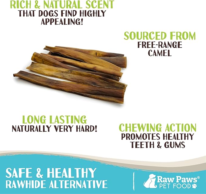 Raw Paws Camel Skin Chews for Dogs, 10-inch (10-Count)