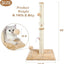 ANWA 32" Tall Cat Scratching Posts for Indoor Cats, 3-in-1 , Beige