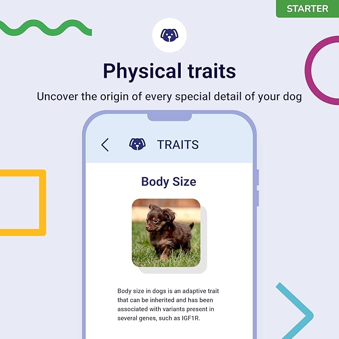 DNA Test for Dogs Starter - (Breeds and Traits Reports) - Updates at no cost