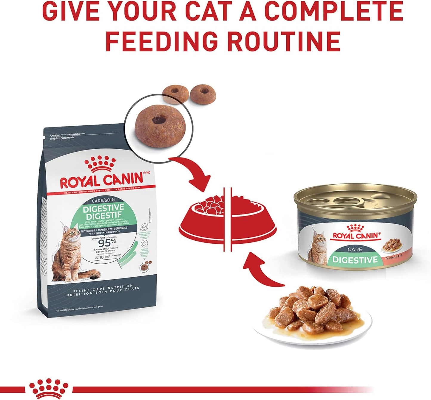 Royal Canin Feline Care Nutrition Digestive Care Adult Dry Cat Food, 6 lb Bag