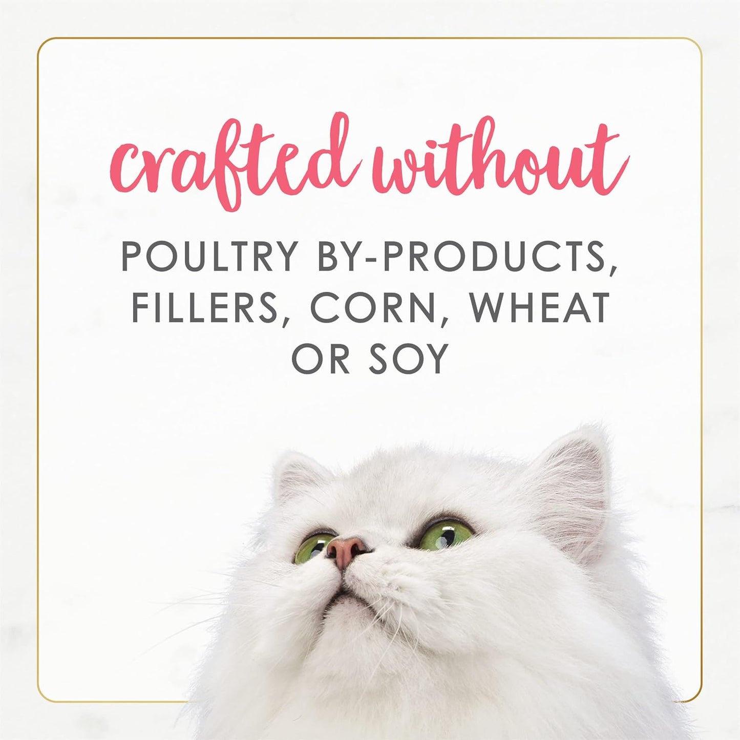 Purina Fancy Feast Grain Free Pate Wet Kitten Food Gourmet Naturals Wild Alaskan Salmon Recipe - (Pack of 12) 3 oz. Cans