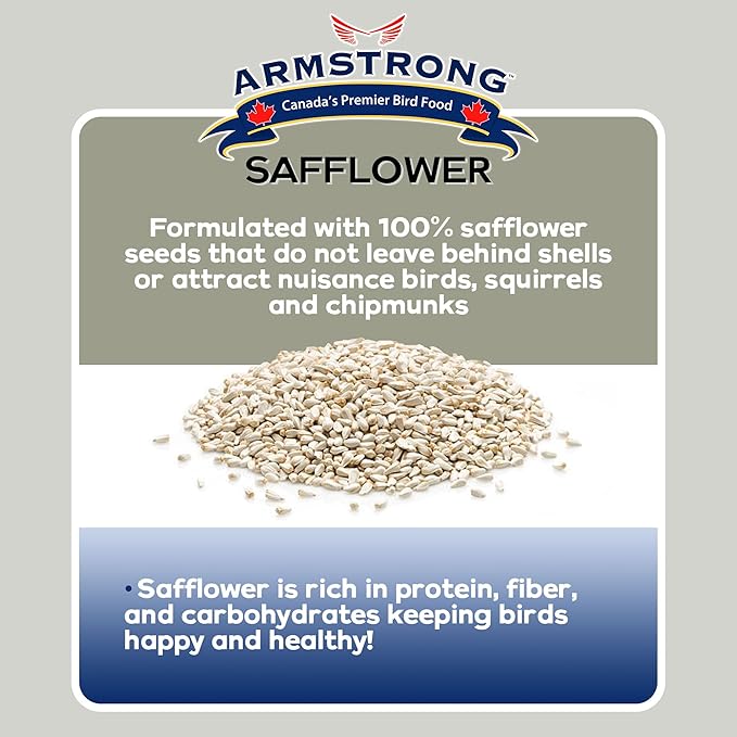 Armstrong Wild Bird Food Safflower Bird Seed, 20 Pounds (Pack of 2)