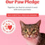 SKOUT'S HONOR Cat Ear Cleaner Solution with Aloe Vera - Alcohol-Free, Fragrance-Free, Non-Medicated Ear Wash for Cats, 4 oz., 3-Pack