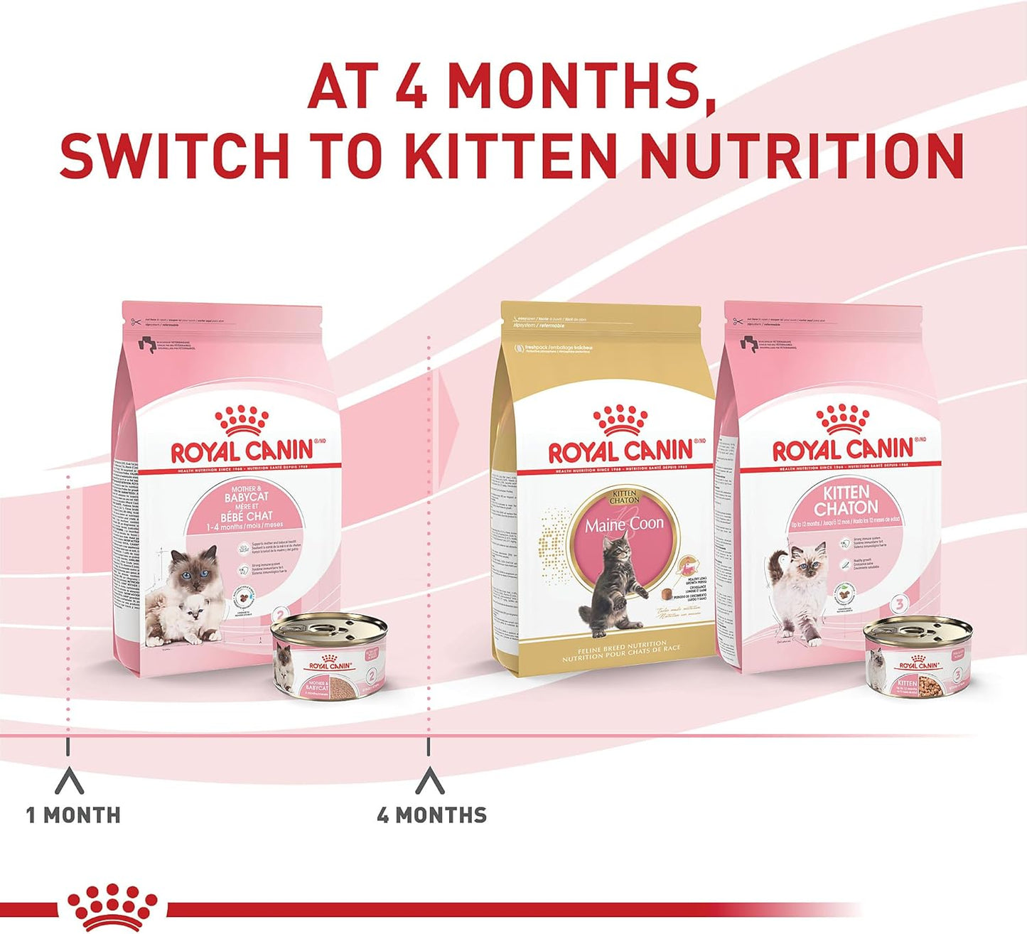 Royal Canin Feline Health Nutrition Mother & Babycat Queen Ultra Soft Mousse in Sauce Cat Food, 3 oz (Pack of 12)