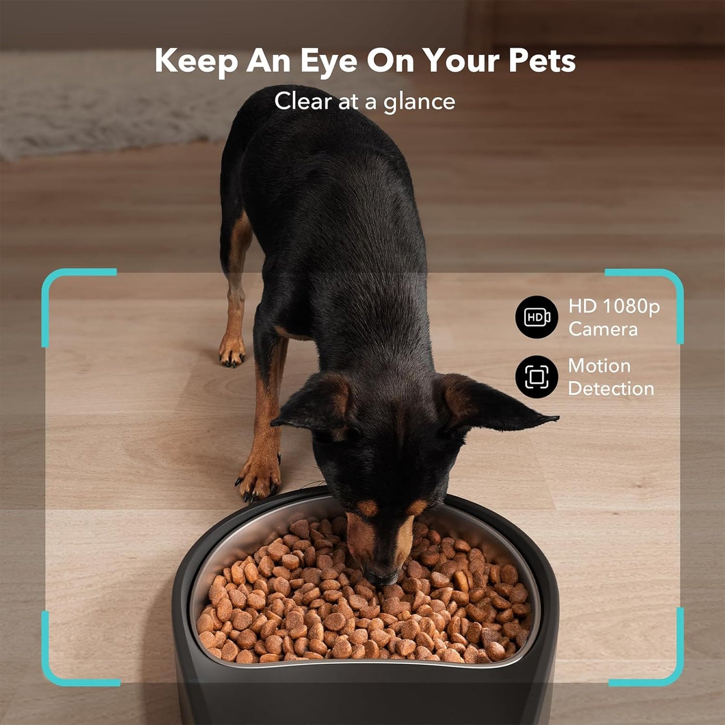 Peltibro Automatic Pet Feeder with Camera