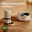 PETLIBRO Automatic Cat Feeder Wet Food with Stainless Steel Bowl, Refrigerated Auto Cat Feeder with Semiconductor Cooling