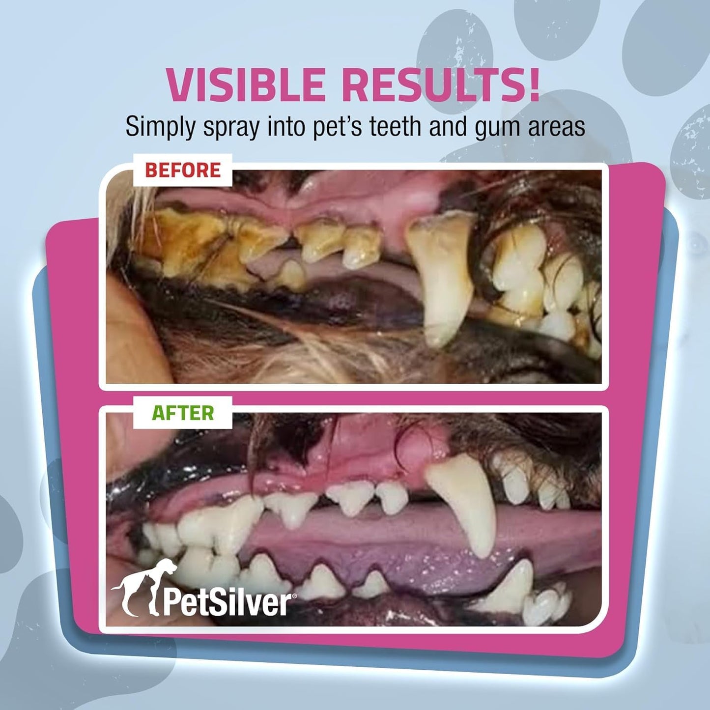 PetSilver Teeth & Gum Spray - Dog Dental & Teeth Cleaning Spray for Plaque & Tartar Build-Up Reduction - Made in USA - 4oz, 2-Pack