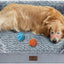 Wnpethome Dog Beds for Extra Large Dogs