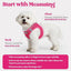 rabbitgoo Dog Harness Small Sized and Leash Set, Step in Soft Light Puppy Vest, Breathable Mesh Pet Harness, Reflective for Safe Easy Walking, Rose Red S