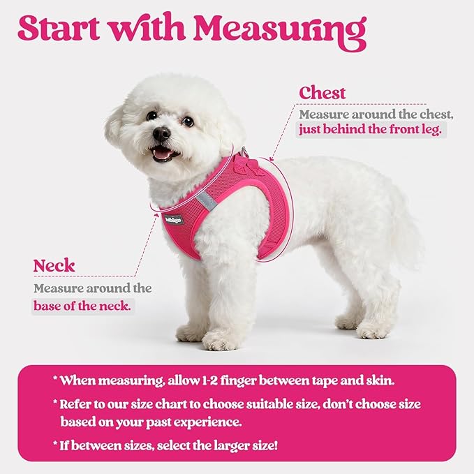 rabbitgoo Dog Harness Small Sized and Leash Set, Step in Soft Light Puppy Vest, Breathable Mesh Pet Harness, Reflective for Safe Easy Walking, Rose Red S