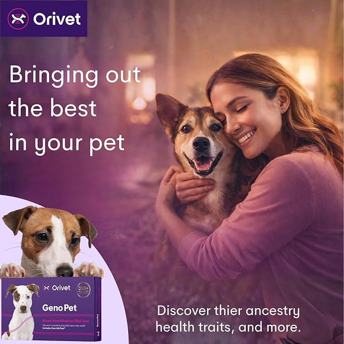 ORIVET Dog DNA Test Kit – Comprehensive Dog DNA Test Kit for Over 330+ Breed Identification