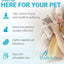 PKD DNA Test for Cats | Home Sample Collection Kit for 1 Feline | Polycystic Kidney Disease Testing | | Just Swab & Send a DNA Sample | Get Your Report in Just 12 Working Days