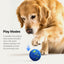 Interactive Dog Toys Balls Moving - Smart Automatic Bouncing Interactive Dog Ball