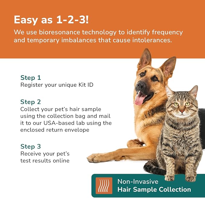 Dog Allergy +1000 Food & Nutritional Sensitivity Test, Pet Intolerance Kit at Home — Advanced Complement to DNA Tests for Complete Pet Wellness