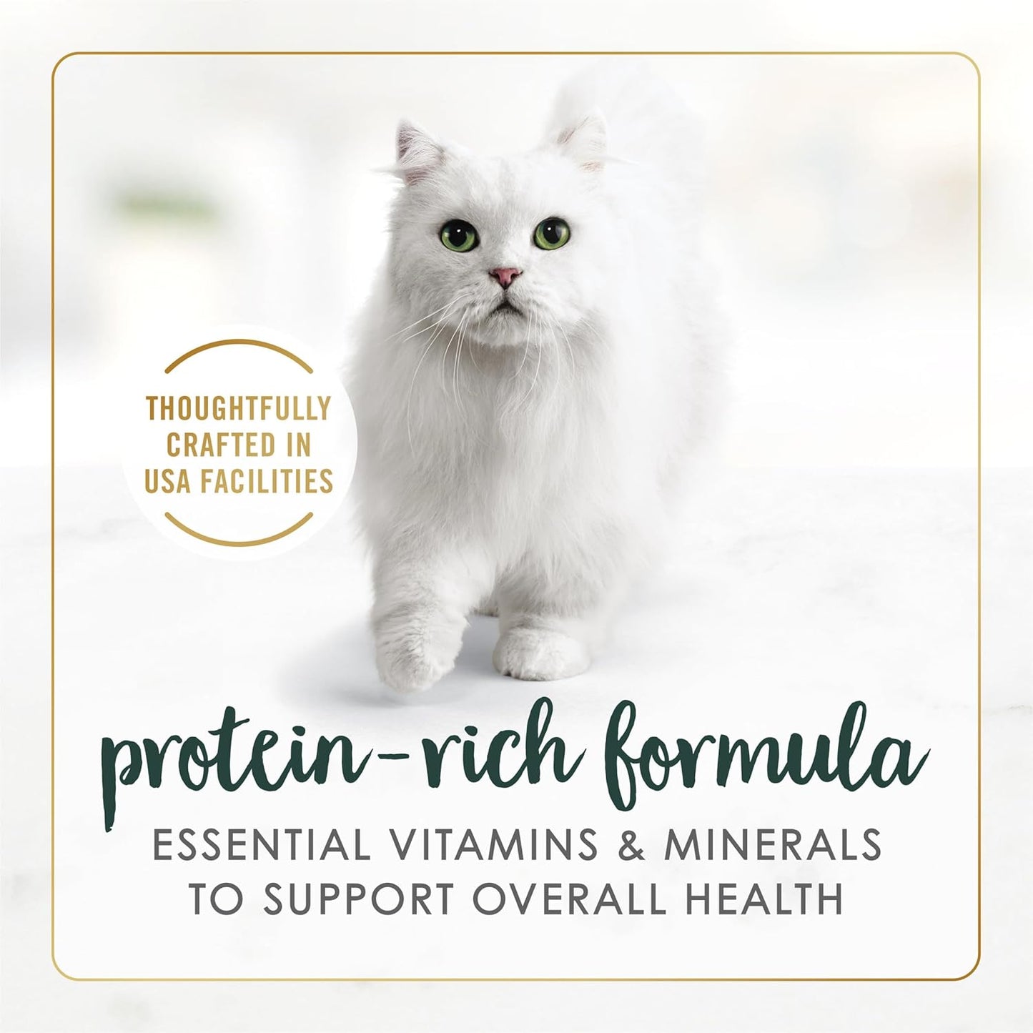 Purina Fancy Feast Senior Wet Cat Food 7 Years Plus Chicken Feast in Gravy Minced - (Pack of 24) 3 oz. Cans