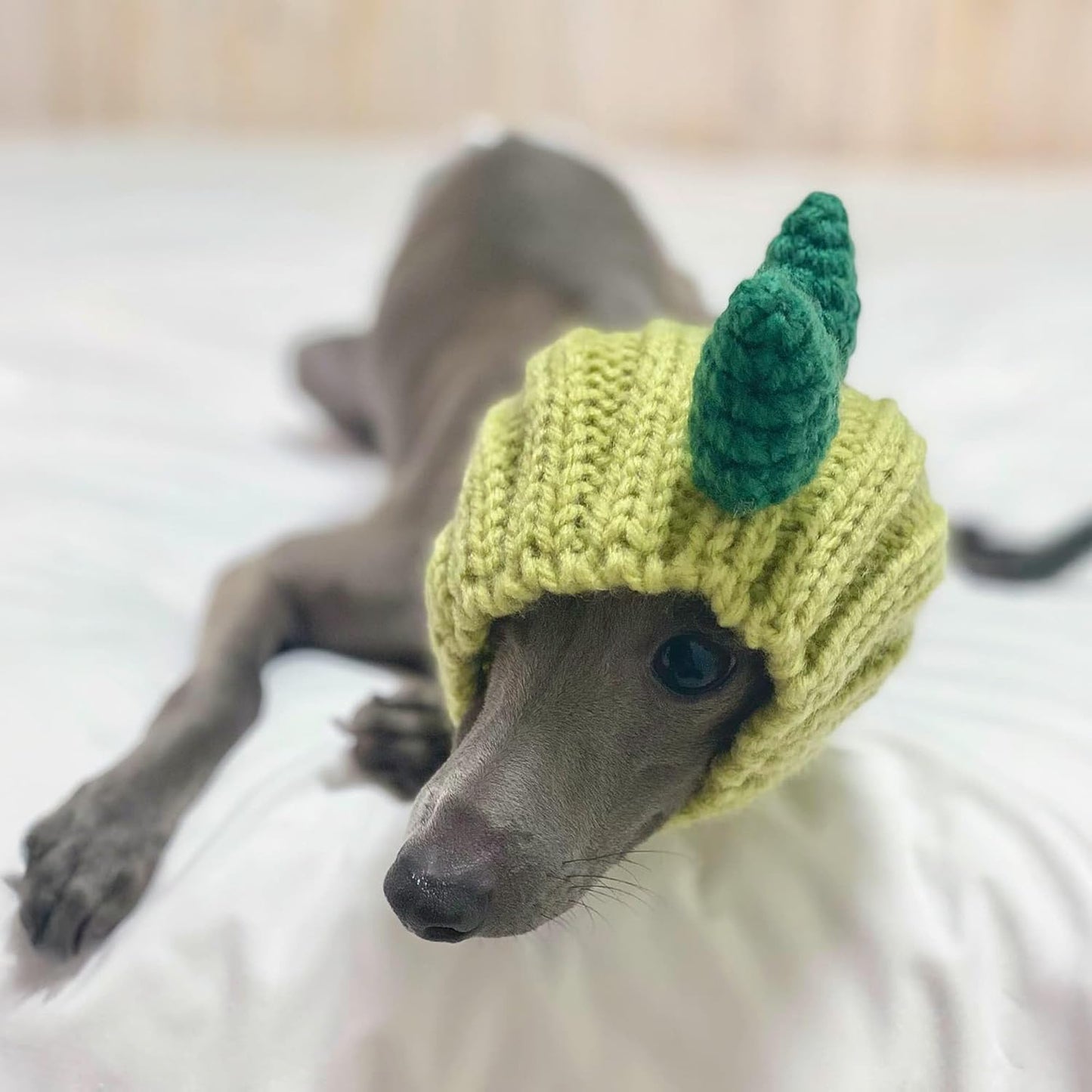 Zoo Snoods Dinosaur Costume - Warm Knit Dog Snood Wrap for Pets, Neck Ear Cover Protection, Halloween Winter (Small)