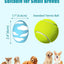 Dog Toys, Squeaky Latex Rubber Bouncy Balls, Squeaky Egg Dog Toys Balls(6 Pack, Small)