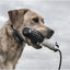 SportDOG FieldTrainer Off-Leash Control & Training