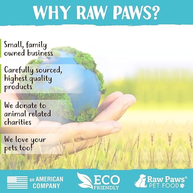 Raw Paws Camel Skin Chews for Dogs, 10-inch (10-Count)