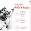 Royal Canin Feline Health Nutrition Mother & Babycat Queen Dry Cat Food, 6 lb Bag