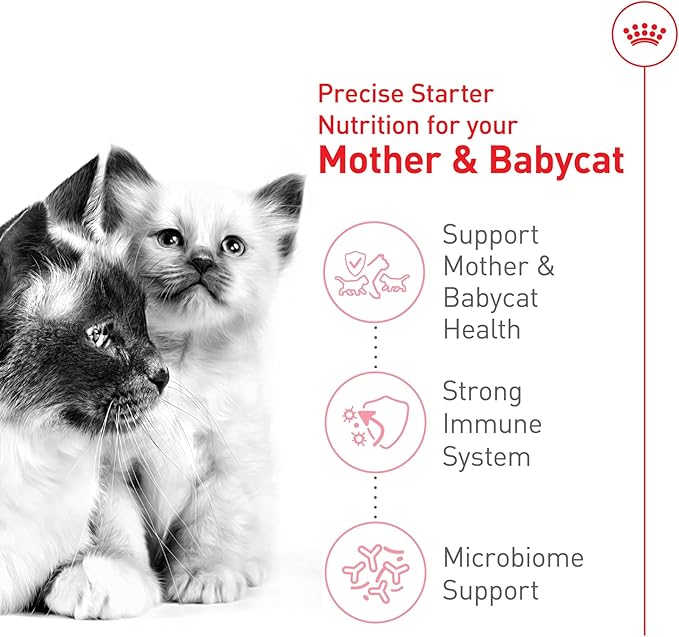 Royal Canin Feline Health Nutrition Mother & Babycat Queen Dry Cat Food, 6 lb Bag