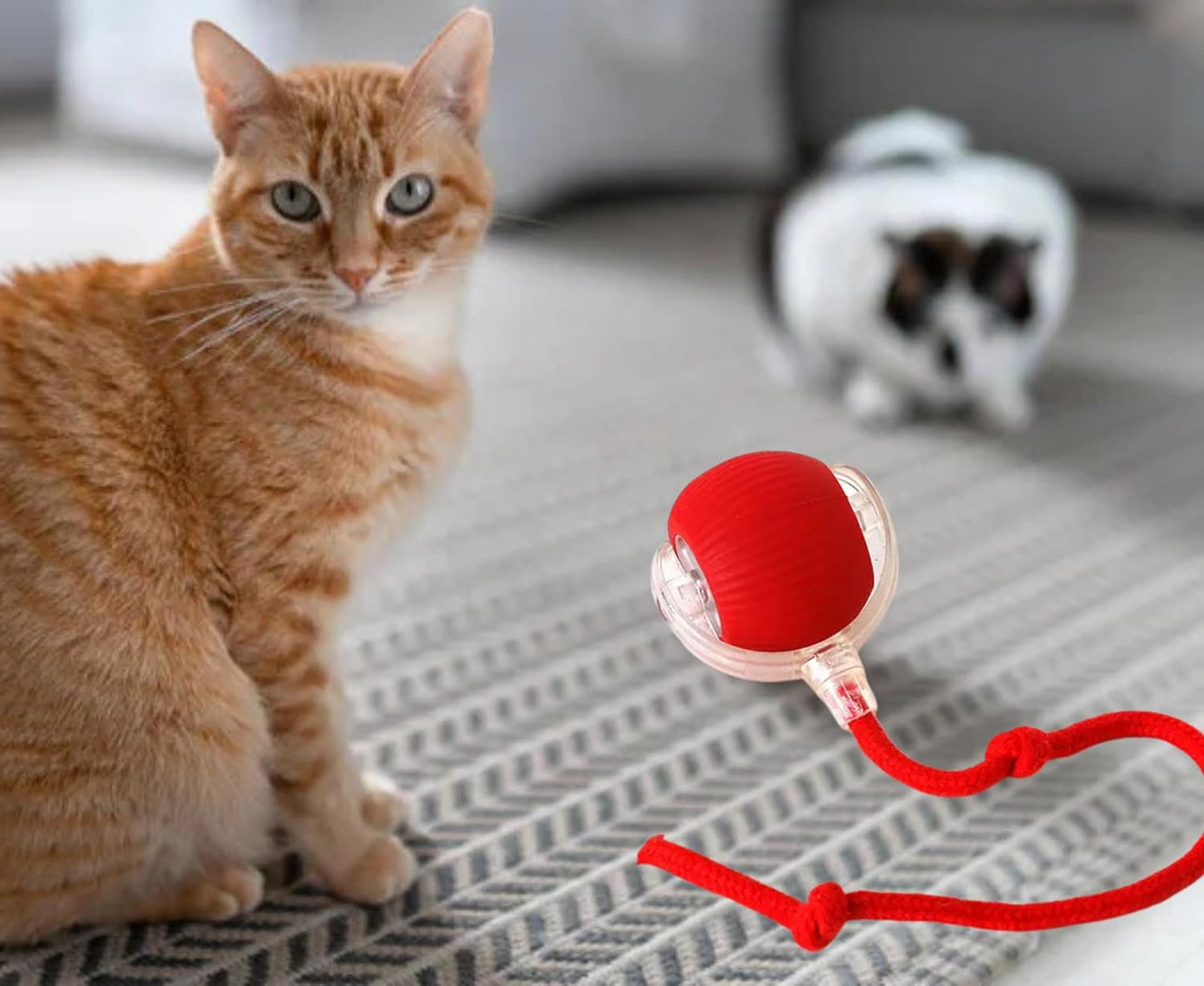 Automatic Cat Ball, RED, LED Lights, Indoors for Active Cats - Rechargeable, Smart Rolling, Speedy Tail/Rope