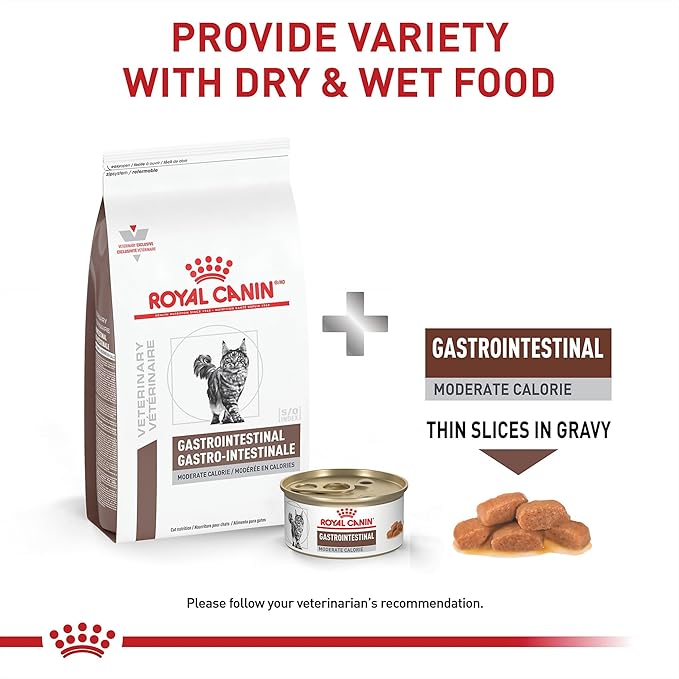 Royal Canin Veterinary Diet Feline Gastrointestinal Moderate Calorie Adult Thin Slices in Gravy Cat Food, 3 oz (Pack of 24)