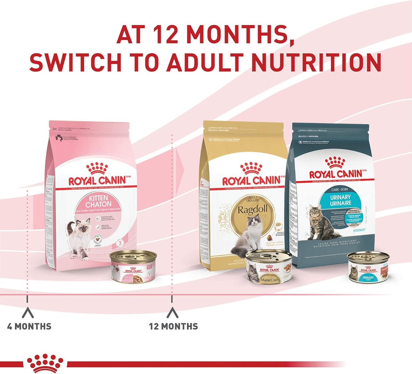 Royal Canin Feline Health Nutrition Kitten Thin Slices in Gravy Canned Cat Food, 3 Oz Can (12-Count)