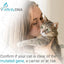 PKD DNA Test for Cats | Home Sample Collection Kit for 1 Feline | Polycystic Kidney Disease Testing | | Just Swab & Send a DNA Sample | Get Your Report in Just 12 Working Days