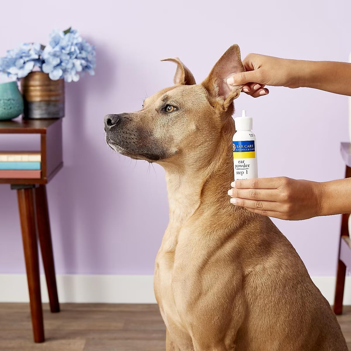Miracle Care Ear Powder for Dogs and Cats, 12 Grams, Aids Hair Removal from Ear Canal, Keeps Ears Dry, Reduces Odor and Waxy Build Up