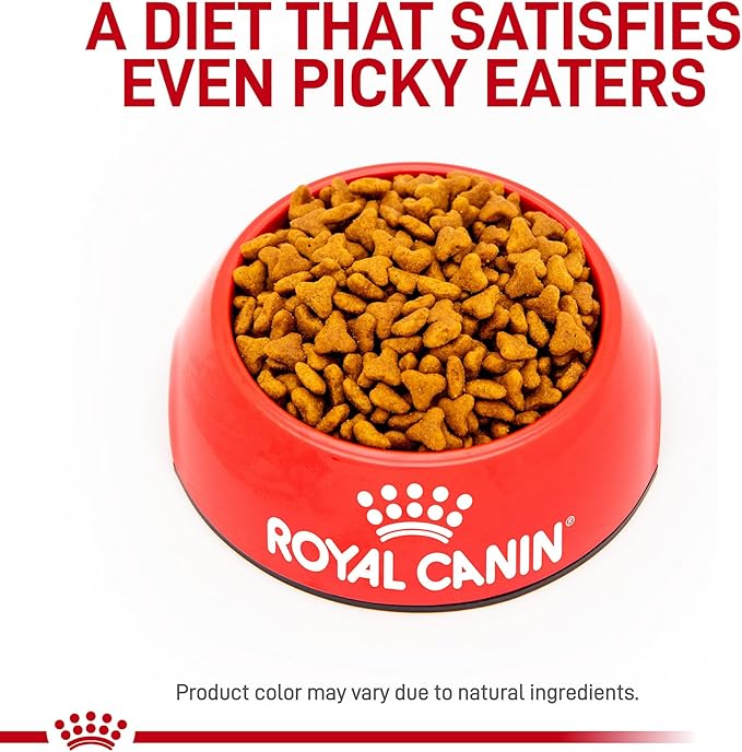 Royal Canin Veterinary Diet Gastrointestinal Fiber Response Dry Cat Food 8.8 lb