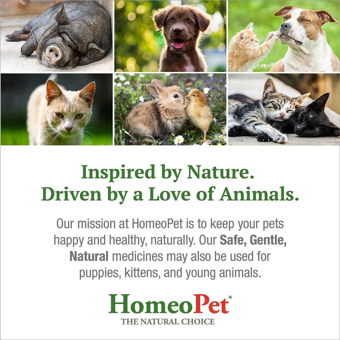 HomeoPet Feline Nose Relief, Safe and Natural Nasal and Sinus Medicine for Cats, Natural Pet Medicine, 15 Milliliters- Pack of 2