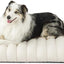 LE SURE Cute Orthopedic Dog Bed Large Sized Dog, Waterproof Chic Flat Pet Beds with Removable Washable Cover, Fuzzy Thick Egg Crate Foam Pet Mat for Indoor Use (36" x 27", Cream)
