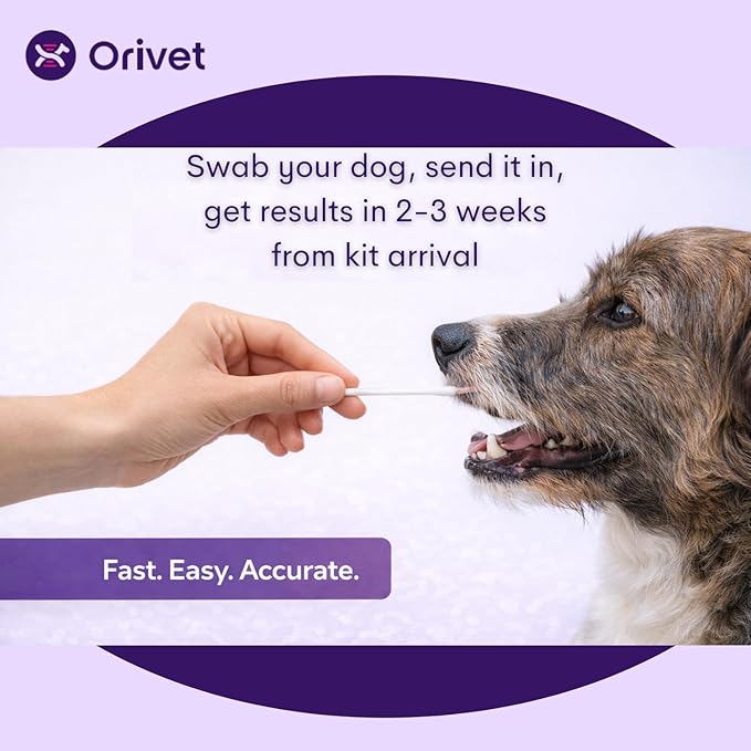 ORIVET Dog DNA Test Kit – Comprehensive Dog DNA Test Kit for Over 330+ Breed Identification