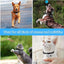 ehomful HD 1080P Cat Camera Collar with Video Record Wireless Mini Sport cam,Small Action Cameras,Body Camera for Pet Supplies/Stuff,Outdoor/Inoor Birthday Gift No WiFi