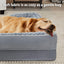 Wnpethome Dog Beds for Extra Large Dogs