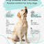 Dog Allergy & Itch Relief Bundle – Immune Support & Skin Comfort for Dogs