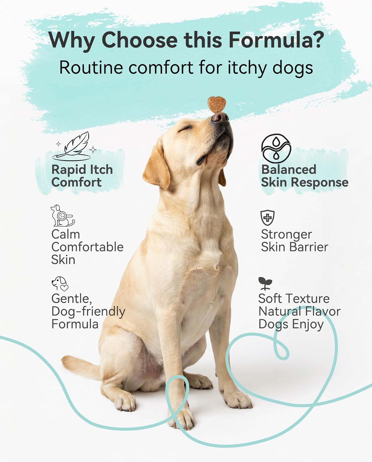 Dog Allergy & Itch Relief Bundle – Immune Support & Skin Comfort for Dogs