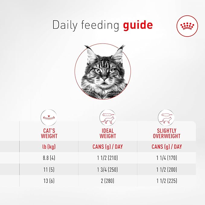 Royal Canin Feline Health Nutrition Aging 11+ Wet Cat Food, for Cats Over 11 Years, Supports Optimal Health & Vitality, 5.1 oz can, case of 24
