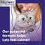 FELIWAY® Optimum 30 Day Cat Calming Plug In Pheromone Diffuser Starter Kit, 48ml