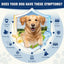 Dog Allergy Chews - Dog Immune Support - Probiotics for Gut Health - Allergies and Itching Skin Support - Itch Relief for Dogs - Seasonal Allergy - Aller Immune Bites for Dogs - 200ct