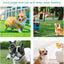 Dog Toys, Squeaky Latex Rubber Bouncy Balls, Squeaky Egg Dog Toys Balls(6 Pack, Small)