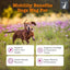 Zesty Paws Vet Strength Mobility Bites Beef & Bacon Flavor Hip & Joint Support 90 Count
