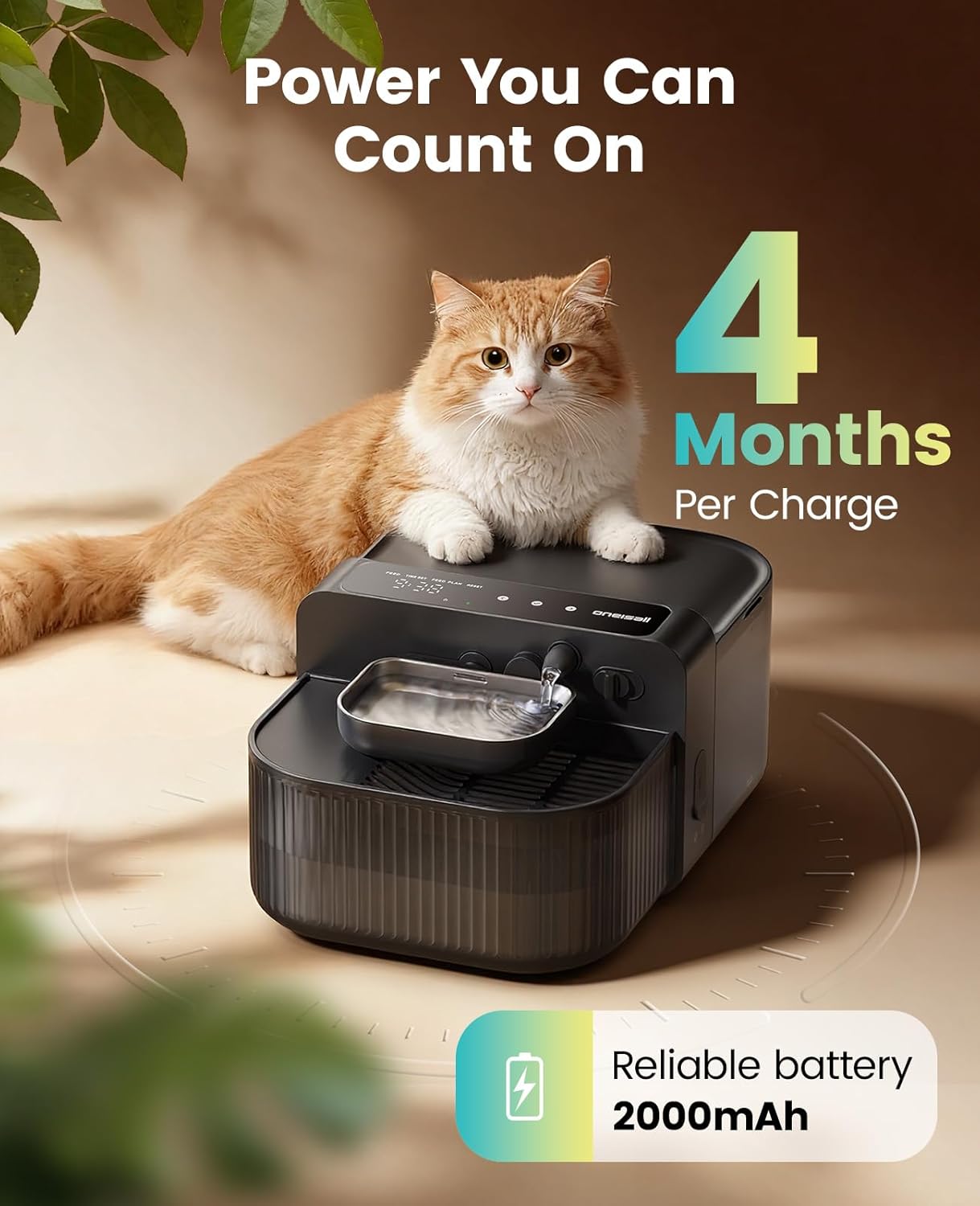 oneisall Wireless Filterless Cat Water Fountain, Separate Clean and Dirty Water Pet Fountain with Stainless Steel Bowl, 3.5L/118oz