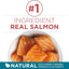 Purina ONE Natural Dry Cat Food, Tender Selects Blend With Real Salmon - 7 lb. Bag