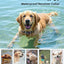 2-in-1 Dog Shock Collar and Bark Collar for Dogs – 3300FT Dog Training Collar with Remote