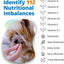 5Strands Pet Nutritional Imbalance Test, 112 Vitamins & Minerals Tested, at Home Dog & Cat Health Check for All Ages & Breeds, Nutrition Deficiency Test, Results in 4 Days